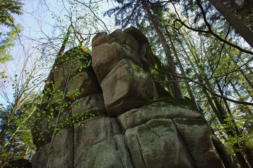 Szklarska Poręba, sunlit Karkonosze rocks, dry leaves in a peaceful forest.