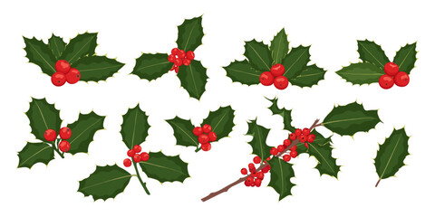 Christmas holly berry flat set. Green leaves and red berries isolated on white background. Elements suitable for decorative Christmas festival, New year invitations, greeting cards.