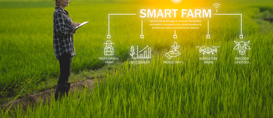 Ai for farming. iot Agriculture technology farmer woman holding tablet or tablet technology to research about agriculture problems analysis data and visual icon.

