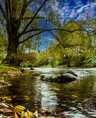 Mountain, clean river in the autumn city of Freiburg. Germany.