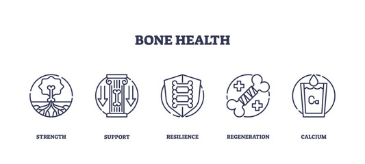 Obraz premium Bone health icons illustrate strength, support, and resilience. Outline icons set