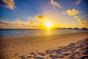 Idyllic Beach with Palm Treesat the Maldives, Indian Ocean