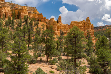 Panoramic view of the Red Canyon from the Birdseye Trail in southern Utah