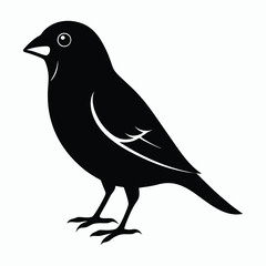 Black Color Finch Vector Silhouette With White Background