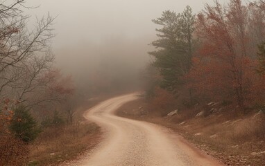 Obraz premium A winding dirt road disappears into a foggy landscape, surrounded by autumn foliage.