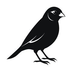 Black Color Finch Vector Silhouette With White Background