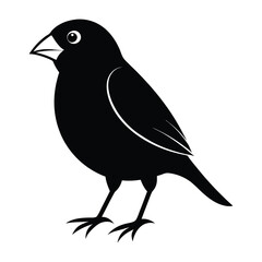 Black Color Finch Vector Silhouette With White Background
