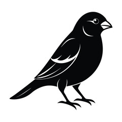 Black Color Finch Vector Silhouette With White Background