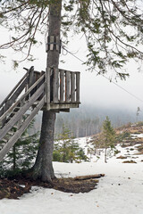 wooden tower on a hill in winter in the forest. Observation deck in the mountains in a snowy forest. Foggy gloomy day in the fox