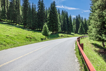 Fototapeta premium Forest and mountains with empty road