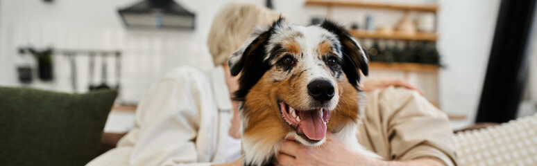 A loving couple enjoys precious moments with their happy pet in their inviting home.