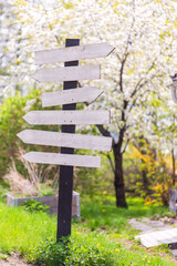 Rustic Directional Signpost in a Spring Garden
