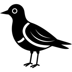 Fototapeta premium silhouette of a bird