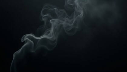 Fototapeta premium Wisps of smoke on dark background