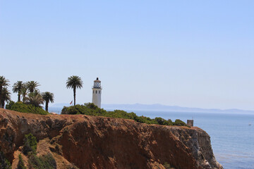 Scenic Coastal Lighthouse with Palm Trees and Ocean View