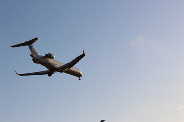 Airplane Soaring in Clear Blue Sky During Daytime Flight
