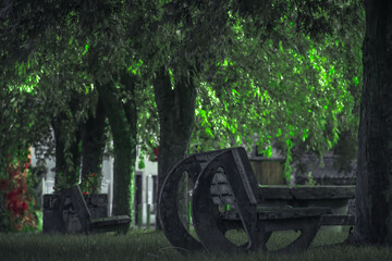 two benches stand diagonally in a green park among trees and grass