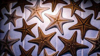 Decorative Starfish Pattern on Blue Background for Coastal Decor and Design