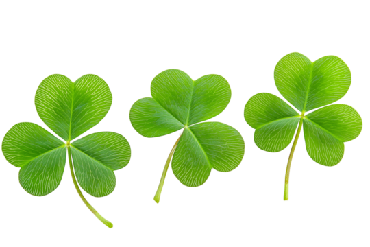 Vibrant Shamrock Leaves