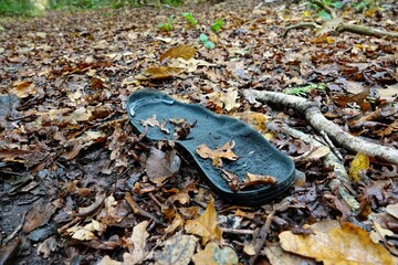 Discarded Shoe Insole on Forest Floor