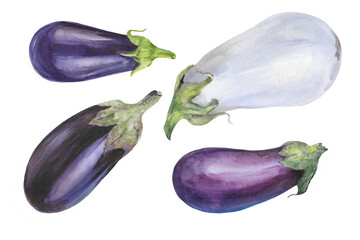 Set of watercolor eggplants on a white background. Delicious healthy purple and white vegetables.