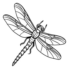 Dragonfly vector illustration. Black contour drawing. Dragonfly in flight hand drawn.
