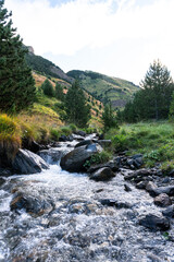 a stream runs through a grassy field .Cerler, Pyrenees of Huesca Spain