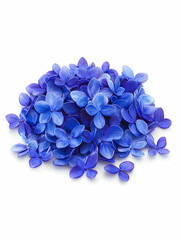 Obraz premium A pile of vibrant blue flowers arranged aesthetically for decoration or design purposes.