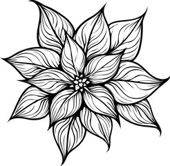 Fototapeta premium Silhouette of Christmas flower poinsettia with a transparent background.