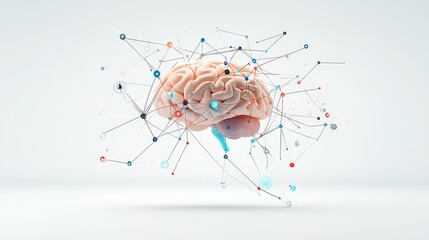 High-quality, white background stock photo of a human brain with interconnected lines and digital nodes symbolizing cognitive processing and neural connectivity."