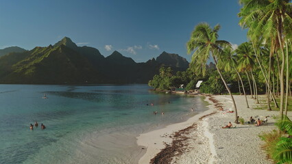 Lush green volcanic mountains meet crystal clear turquoise water on a sunny coastline with tourists swimming, sunbathing, and paddle boarding in Moorea tropical palm tree beach, French Polynesia