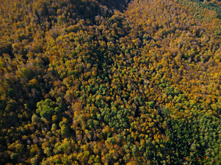 Aerial view of Tuscany mountain in autumn with green and orange foliage, warm colors. Zenithal view