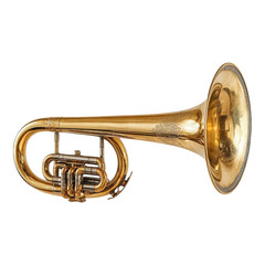 Fototapeta premium A shiny gold tuba lies on a black background, showcasing its intricate design and musical potential.