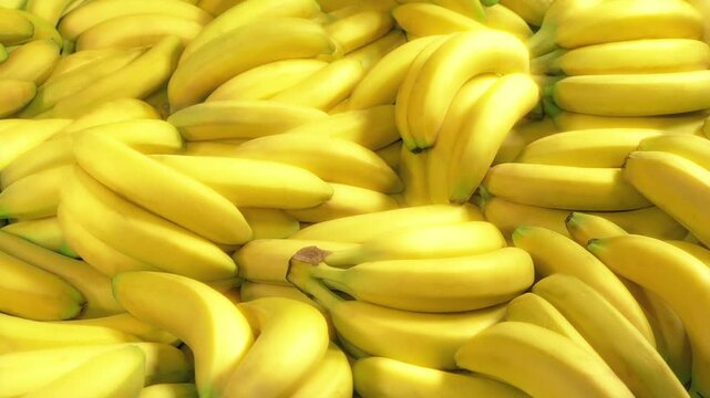 Lots Of Bananas Moving Shot