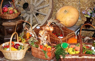 erntedank  obst und gemüse vom bio bauer