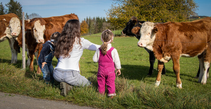 Mutter mit zwei Kindern (2 Jahre alt) vor Kuhweide, Ausflug mit Zwillingen, Junge und M&auml;dchen in Latzhosen, vor Kuhherde in Bayern, blauer Himmel, breites Bildformat,