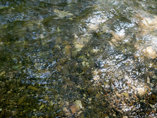 The river, with its rapid flow and majestic cliffs, creates a breathtaking landscape, reflecting the strength and beauty of the wild nature