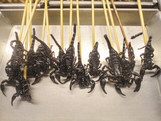 Rows of exotic scorpions on skewers called Maeng Pawng on display at a night market stall, representing the authentic exotic culinary local delicacy of Thailand