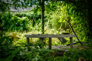 Jardin abandonné