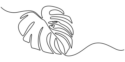 Continuous line drawing  of a Monstera  isolated on white background, Leaf monstera continuous one line art drawing of outline vector illustration, Continuous one line drawing of monstera leaf. © line draw