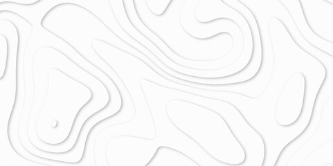 Fototapeta premium Abstract White paper cut background with lines. white line drawing geometric paper art design. 3d papercut decoration textured with wavy layers. 3d realistic design used for banner, posters. line maps