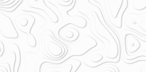 Abstract White paper cut background with lines. white line drawing geometric paper art design. 3d papercut decoration textured with wavy layers. 3d realistic design used for banner, posters. line maps