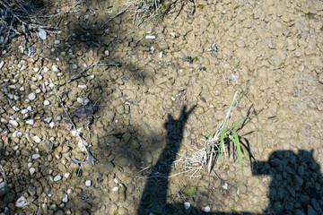 Nahaufnahme eines Riffs mit Schatten einer Hand, Handzeichen „Peace“