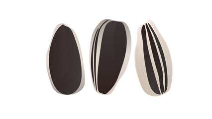 Roasted sunflower seeds. isolated on white. 