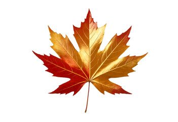 Fototapeta premium golden chromed autumn maple leaf on transparent background