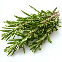 Fototapeta premium Fresh sprigs of rosemary on a white background.