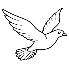 dove of peace vector