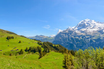 The Swiss Alps at Murren, Switzerland. Jungfrau Region. The valley of Lauterbrunnen from Interlaken.