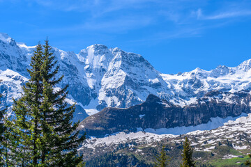 The Swiss Alps at Murren, Switzerland. Jungfrau Region. The valley of Lauterbrunnen from Interlaken.