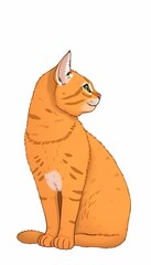 Fototapeta premium Ginger Cat Peeking Out